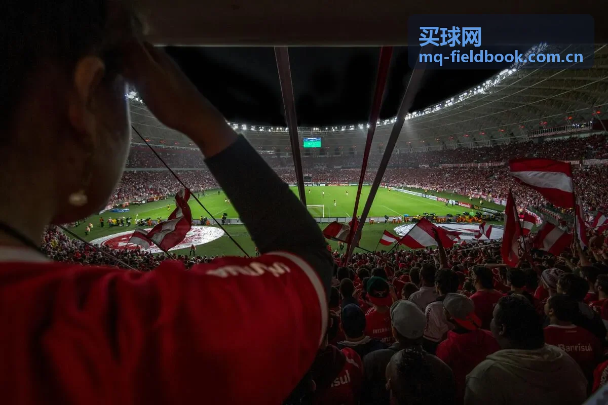 买球网足球观察中的球场与比赛阅读内容